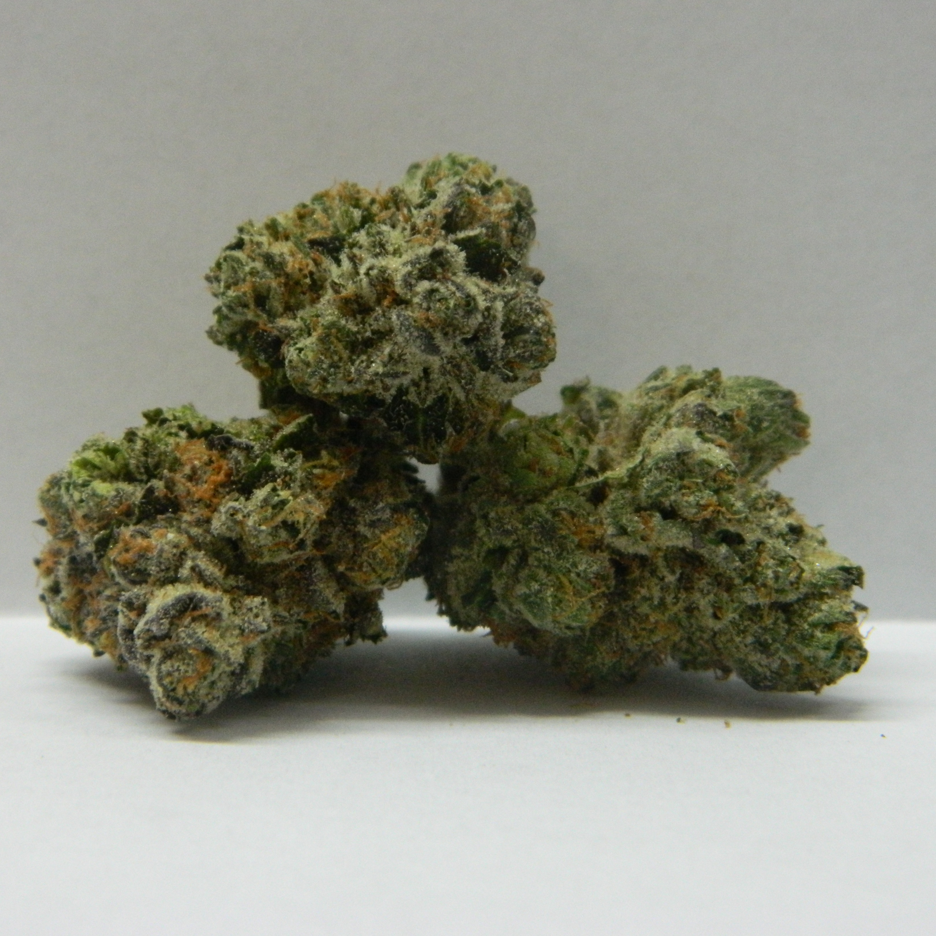 Siren Cannabis Cookies N Creamsicle Leafly